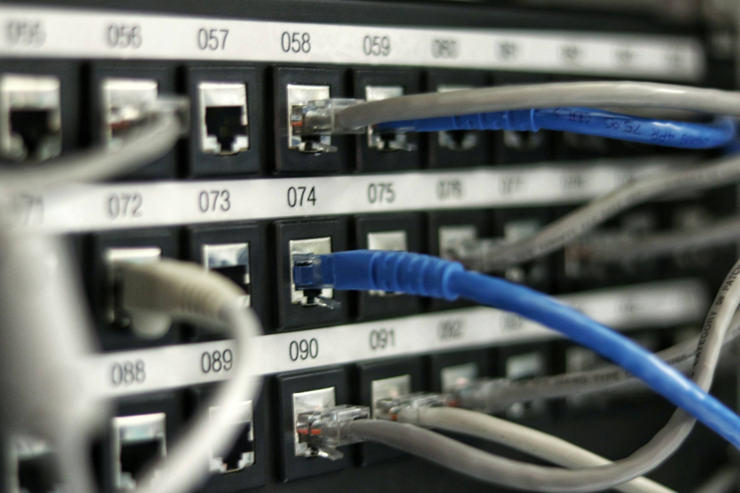 Patchpanel tæt på med nummererede porte og blå og grå netværkskabler